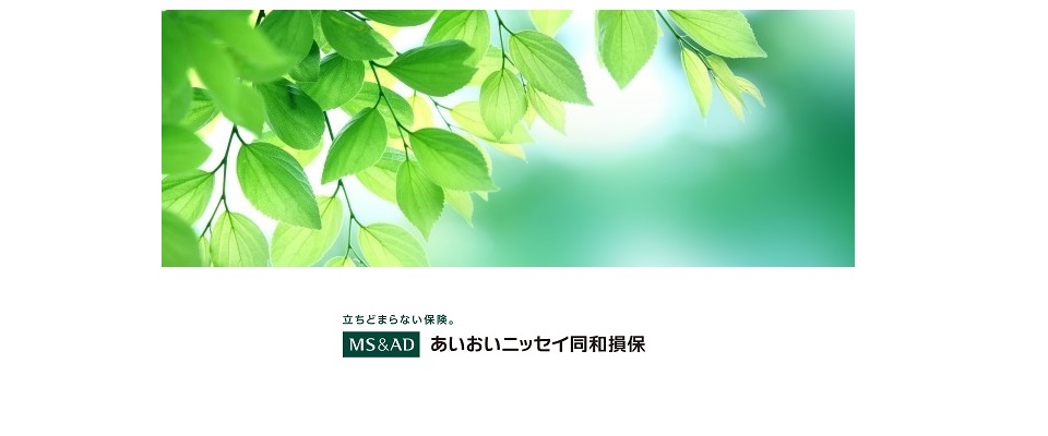 あいおいニッセイ同和損保株式会社（沖縄）メイン画像1